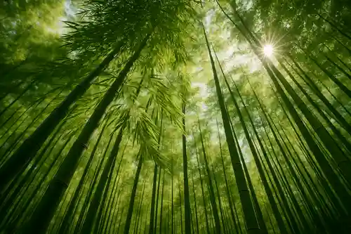 木舟山　順教寺(広島県)