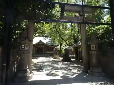 素盞烏尊神社の鳥居