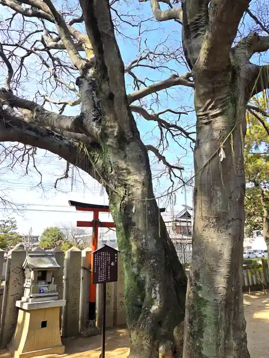 岩屋神社(兵庫県)