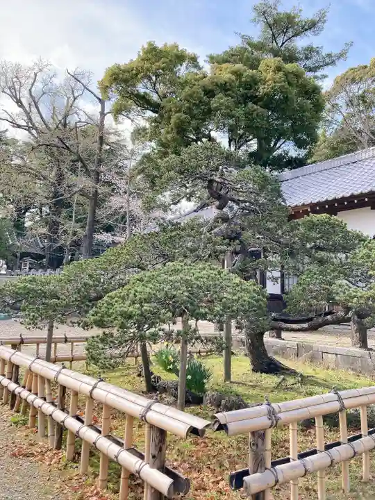 玉前神社の自然