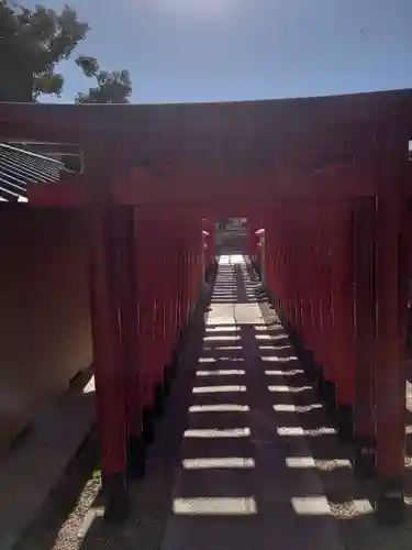 和田神社(兵庫県)