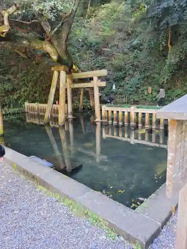 鹿島神宮(茨城県)