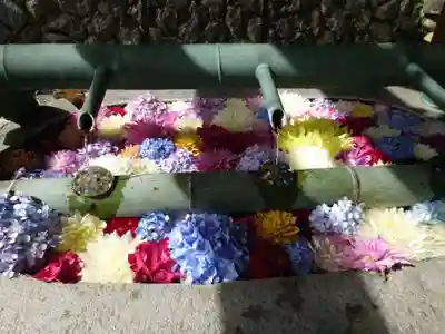 岡寺(龍蓋寺)(奈良県)