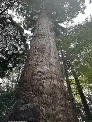 麻賀多神社(千葉県)