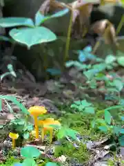 子檀嶺神社(長野県)