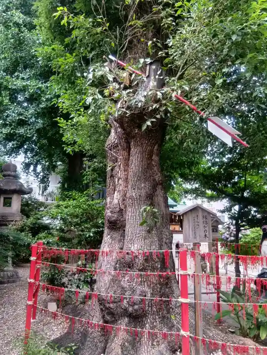 三輪神社(愛知県)
