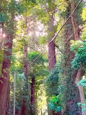 鴨鳥五所神社(茨城県)