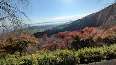 善峯寺(京都府)
