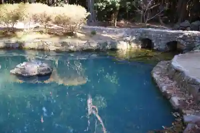 大麻比古神社(徳島県)