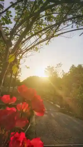 神明社（重本）の自然