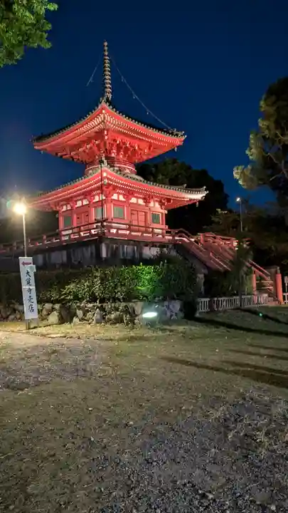 大覚寺(京都府)