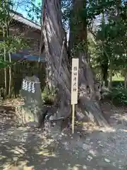 星宮神社の建物その他