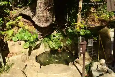 師岡熊野神社(神奈川県)