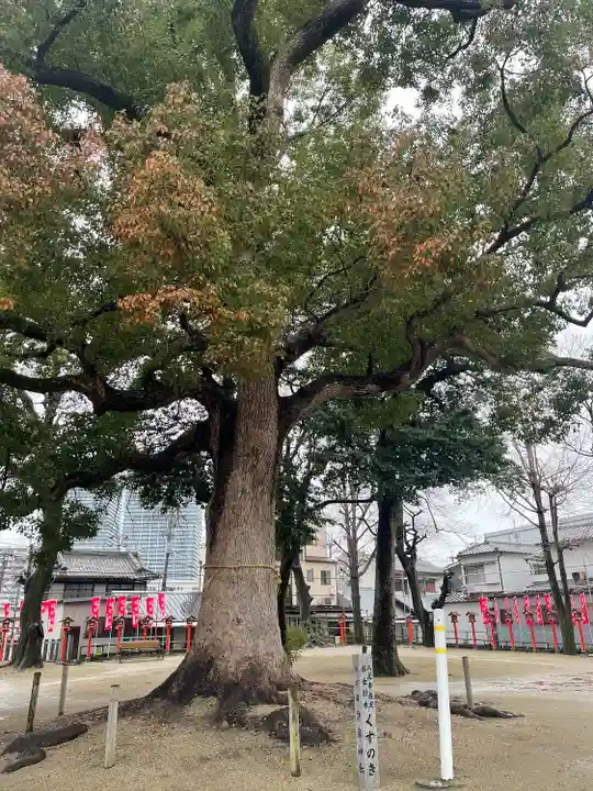 許麻神社(大阪府)