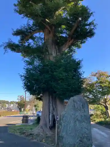福泉寺(神奈川県)