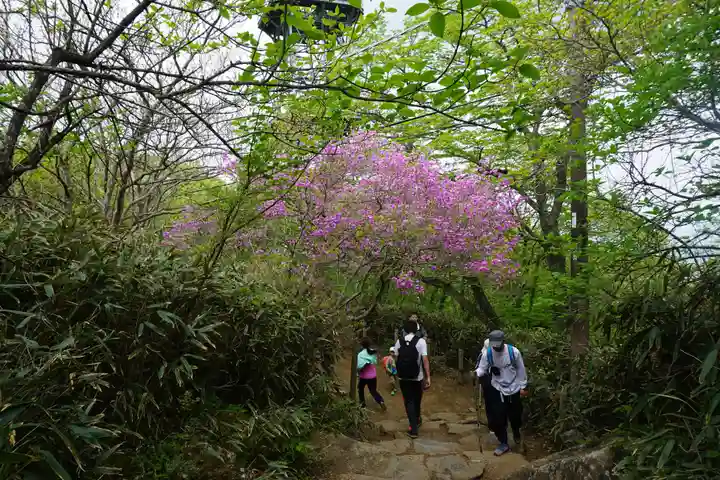 筑波山神社の自然