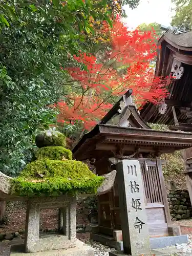 八坂神社・境内社川枯社の建物その他