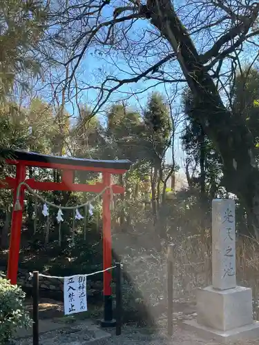 鷲宮神社の鳥居