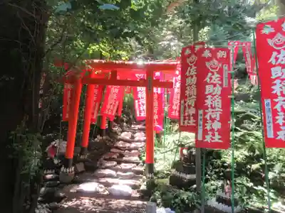 佐助稲荷神社の鳥居