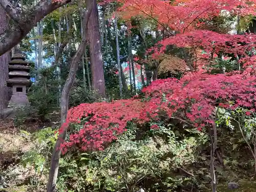 榮攝院（栄摂院）の自然
