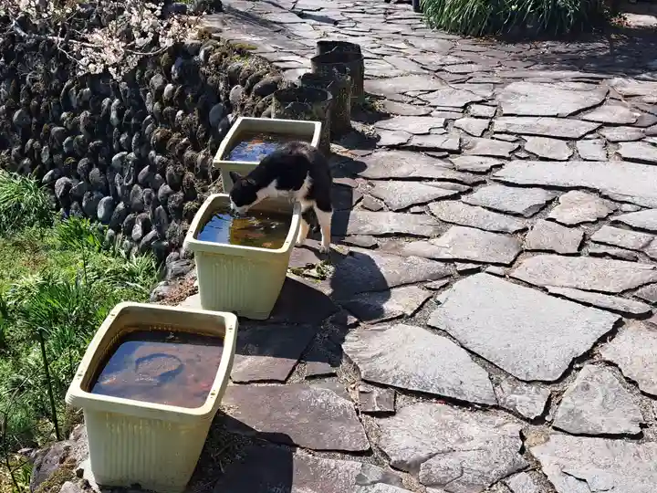 富貴寺(大分県)