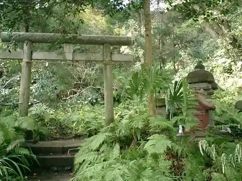 佐助稲荷神社の鳥居