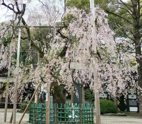 大國魂神社(東京都)