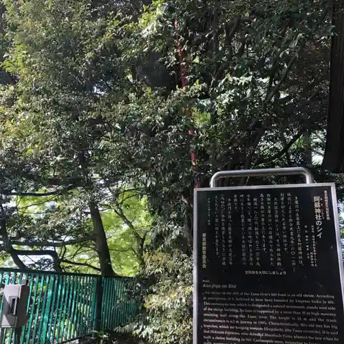 阿蘇神社(東京都)