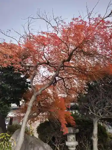 熊野福藏神社の庭園