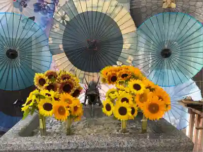 札幌諏訪神社の手水舎