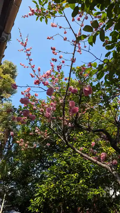 霊光殿天満宮(京都府)