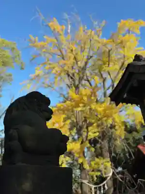 多摩川浅間神社(東京都)