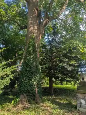 角田神社(北海道)