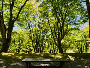 土津神社|こどもと出世の神さまの景色(2021年09月20日(月) 17時47分58秒投稿)