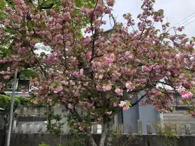 素戔嗚神社(大神神社境外末社)の自然