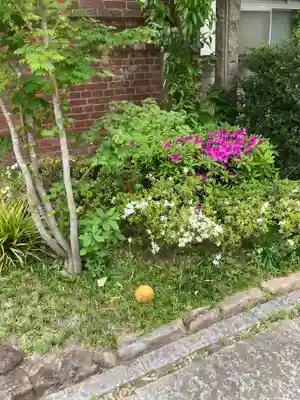 高徳寺(東京都)