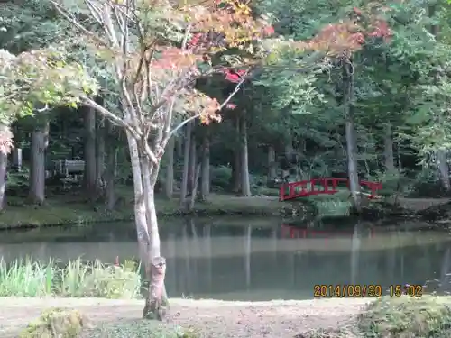 雲洞庵の庭園