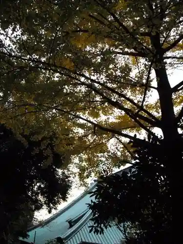 光明寺の自然