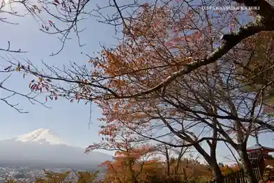 新倉富士浅間神社(山梨県)