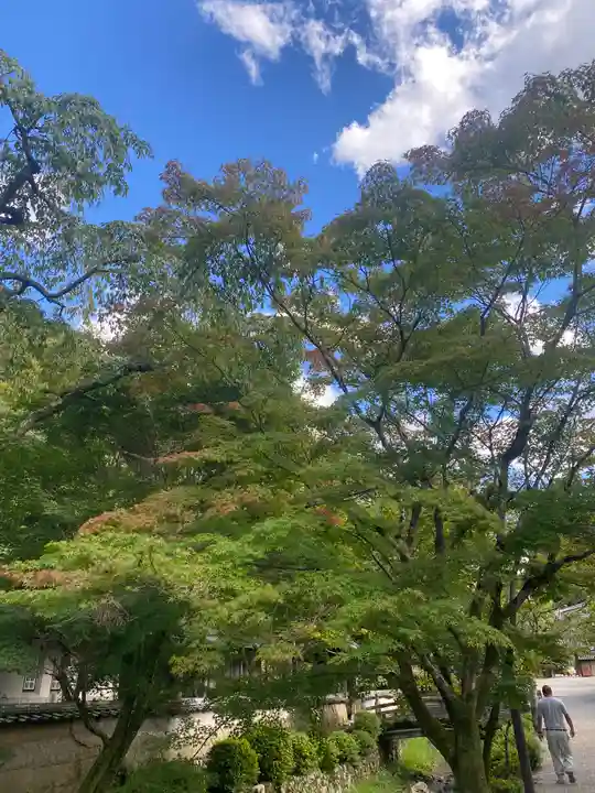 金剛寺(大阪府)