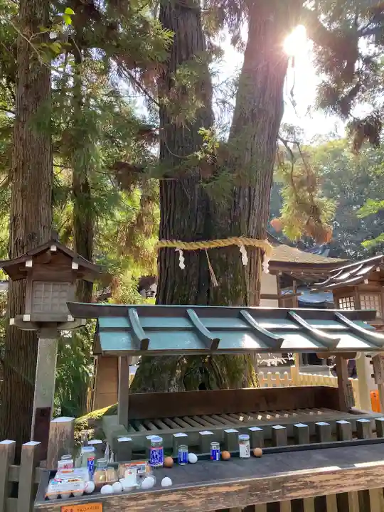 大神神社(奈良県)
