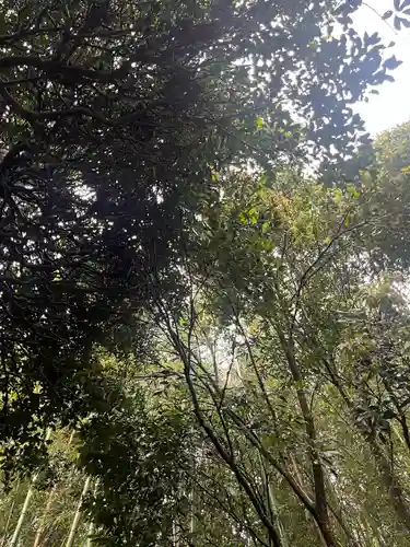 高松入神社(千葉県)