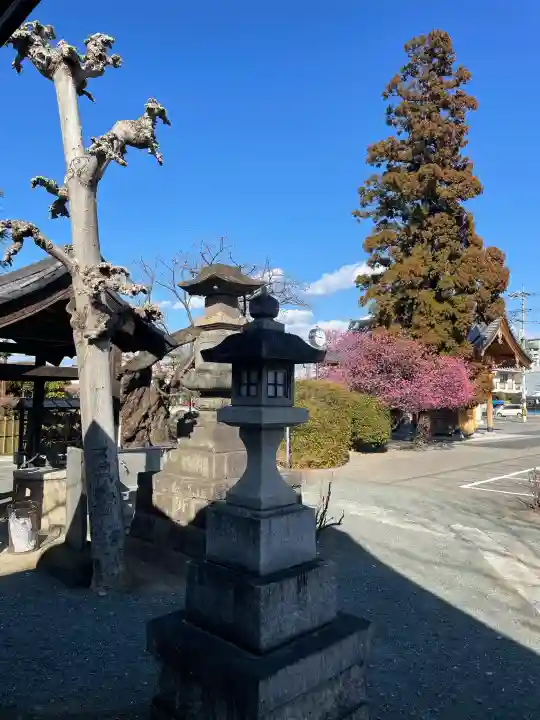 同聚院の{uncategorized: "未分類", other: "その他", undefined: "問題あり", building: "その他建物", grave: "お墓", sacred_gate: "鳥居", guardian: "狛犬", statue: "像", buddha: "仏像", history: "歴史", nature: "自然", garden: "庭園", animal: "動物", pagoda: "塔", temizu: "手水舎", mountain_gate: "山門・神門", sanctuary: "本殿・本堂", subordinate: "末社・摂社", art: "芸術", scenery: "景色", jizo: "地蔵", ema: "絵馬", goshuin: "御朱印", omikuji: "おみくじ", items: "授与品その他", amulet: "お守り", goshuincho: "御朱印帳", eats: "食事", festival: "お祭り", votive_dance: "神楽", shichigosan: "七五三参", wedding: "結婚式", experience: "体験その他", initially: "初詣", around: "周辺", anti_infection: "感染症対策"}