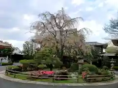 最勝寺の庭園