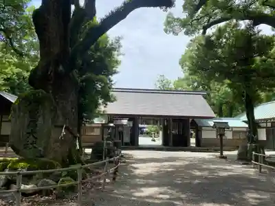 伊曽乃神社(愛媛県)