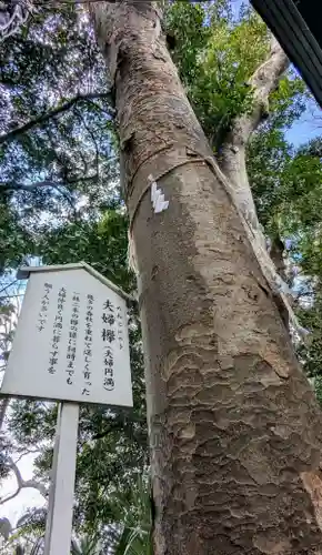 検見川神社の自然