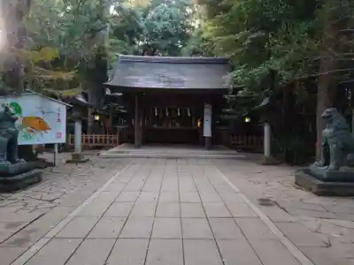 駒木諏訪神社の本殿・本堂