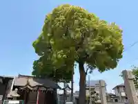 稲荷神社の{uncategorized: "未分類", other: "その他", undefined: "問題あり", building: "その他建物", grave: "お墓", sacred_gate: "鳥居", guardian: "狛犬", statue: "像", buddha: "仏像", history: "歴史", nature: "自然", garden: "庭園", animal: "動物", pagoda: "塔", temizu: "手水舎", mountain_gate: "山門・神門", sanctuary: "本殿・本堂", subordinate: "末社・摂社", art: "芸術", scenery: "景色", jizo: "地蔵", ema: "絵馬", goshuin: "御朱印", omikuji: "おみくじ", items: "授与品その他", amulet: "お守り", goshuincho: "御朱印帳", eats: "食事", festival: "お祭り", votive_dance: "神楽", shichigosan: "七五三参", wedding: "結婚式", experience: "体験その他", initially: "初詣", around: "周辺", anti_infection: "感染症対策"}
