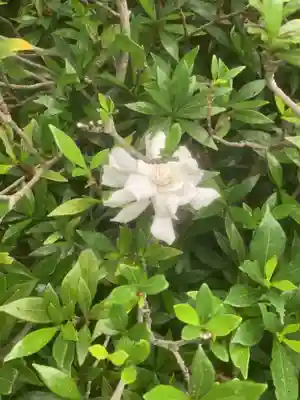 三輪神社(愛知県)