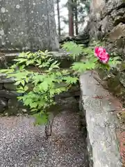 焼山寺(徳島県)